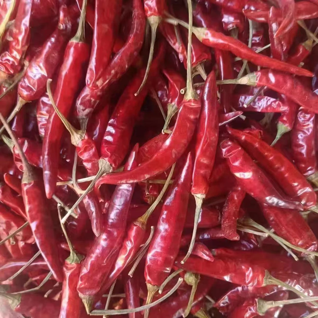 带把小米辣辣椒干辣椒干500g包邮红辣椒香辣朝天椒香味