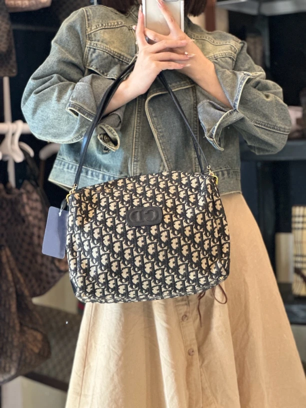 95新 DIOR/迪奥 单肩包/迪奥/sk523