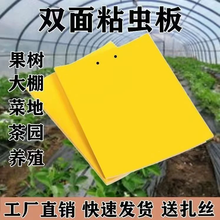 双面粘虫板强力诱虫板厂家直销防水专用粘板适用果园大棚茶园花圃
