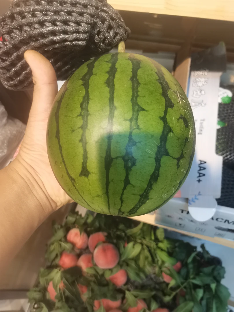 甘肃金山小糖丸西瓜2个