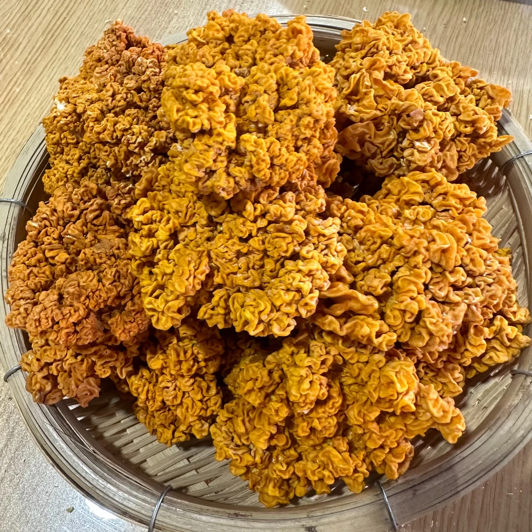云南炖汤神器食用金耳菌搭配枸杞桃胶龙眼500g包邮