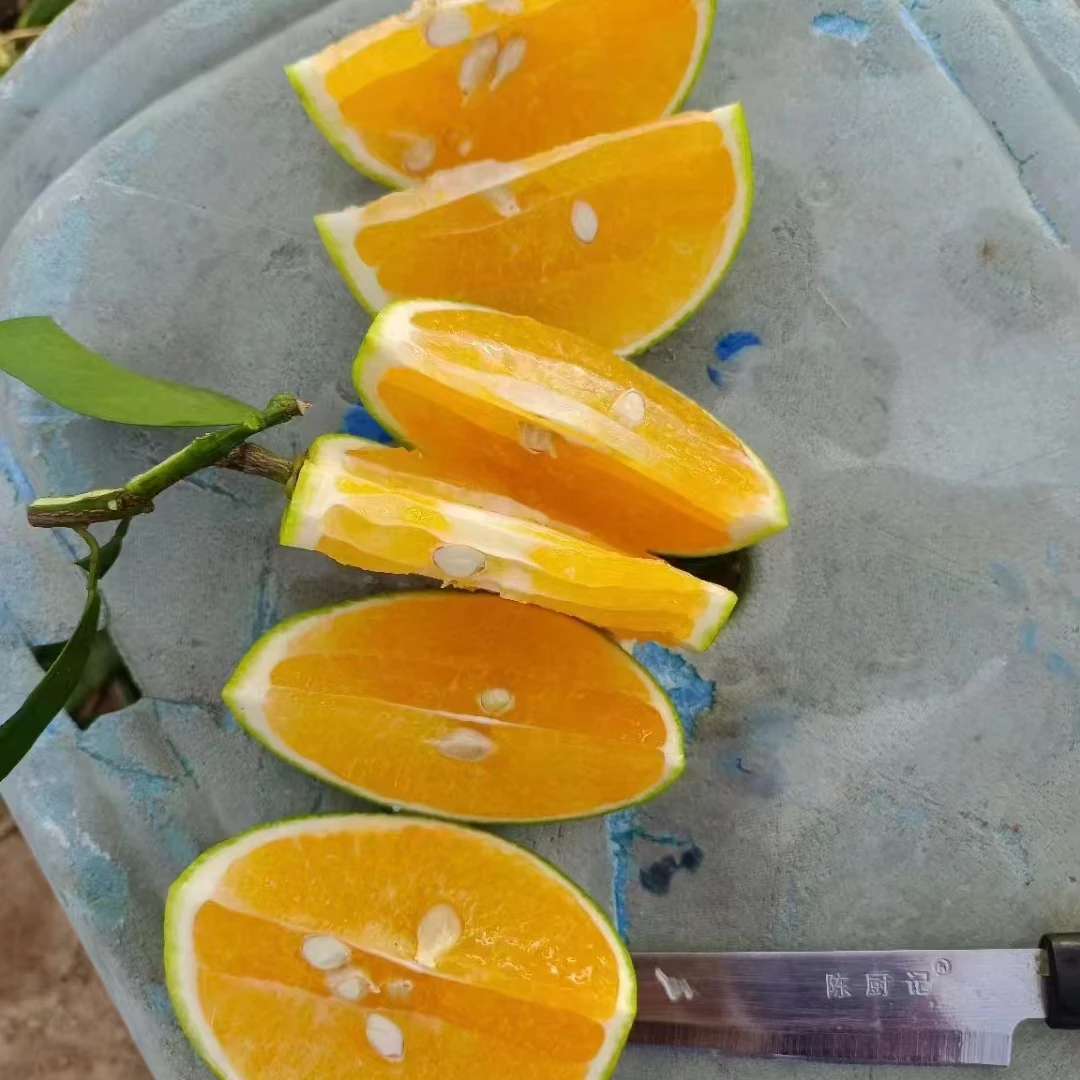 【顺丰包邮】正宗广东廉江红橙味清甜带香果子甜酸适中肉色橙红应季