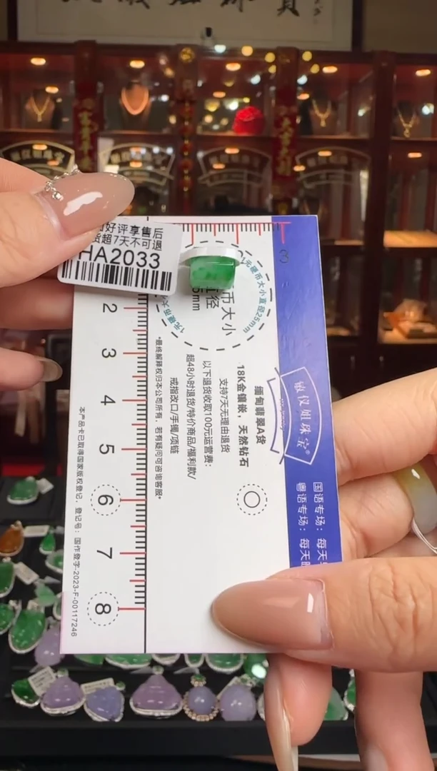 【闪购商品】翡翠颈饰未镶嵌HA2033路路通