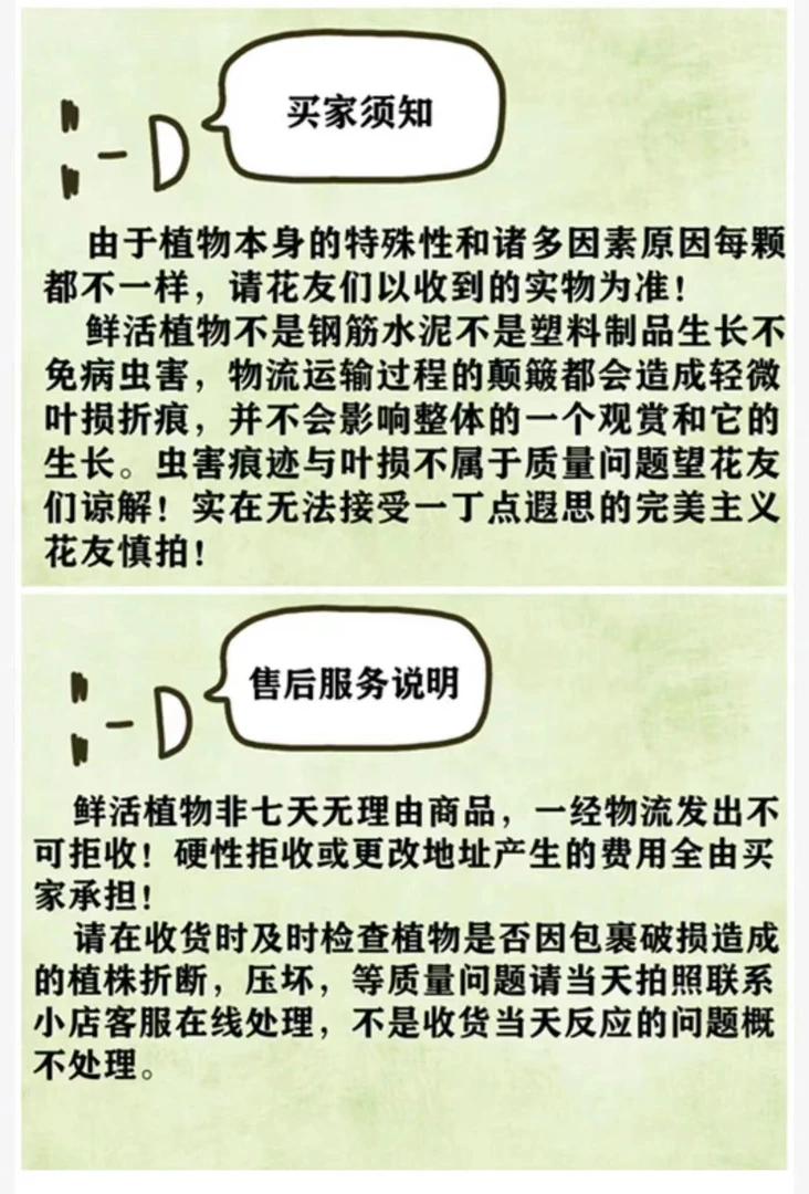 ［热植专用链接］网红热植高端绿植