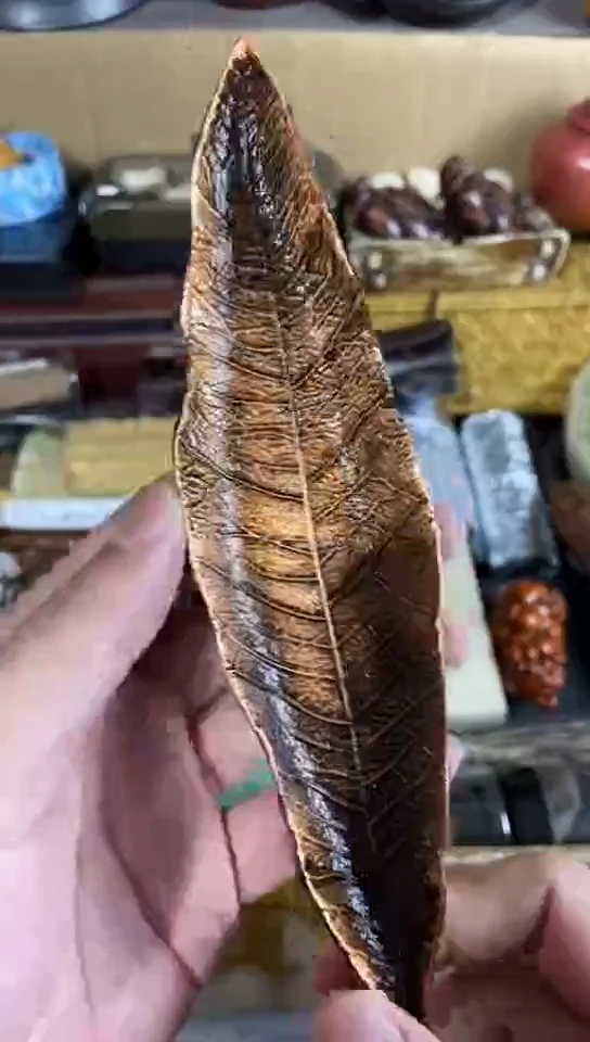 【闪购商品】瓷器瓷片16奥里给给