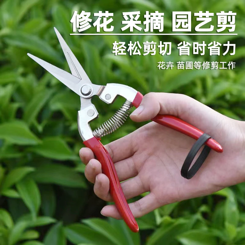园艺修枝剪刀园林花卉专用修枝剪家用修花剪刀修剪花卉绿植专用