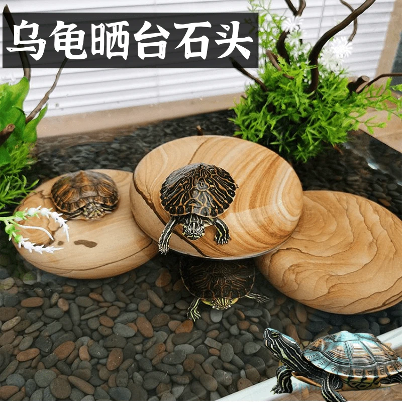 乌龟晒台天然原生木纹石原石乌龟缸扁平晒背爬台休息石头躲避用品