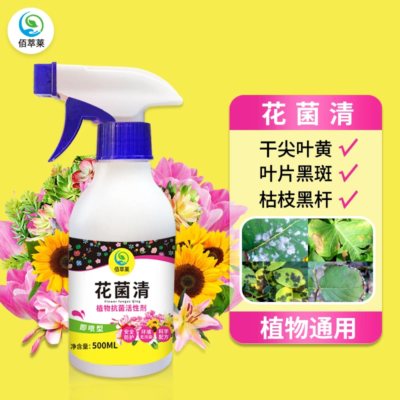 植物花叶康喷剂花卉抗菌活性剂绿植多肉通用炭疽黑斑白粉叶斑黑腐