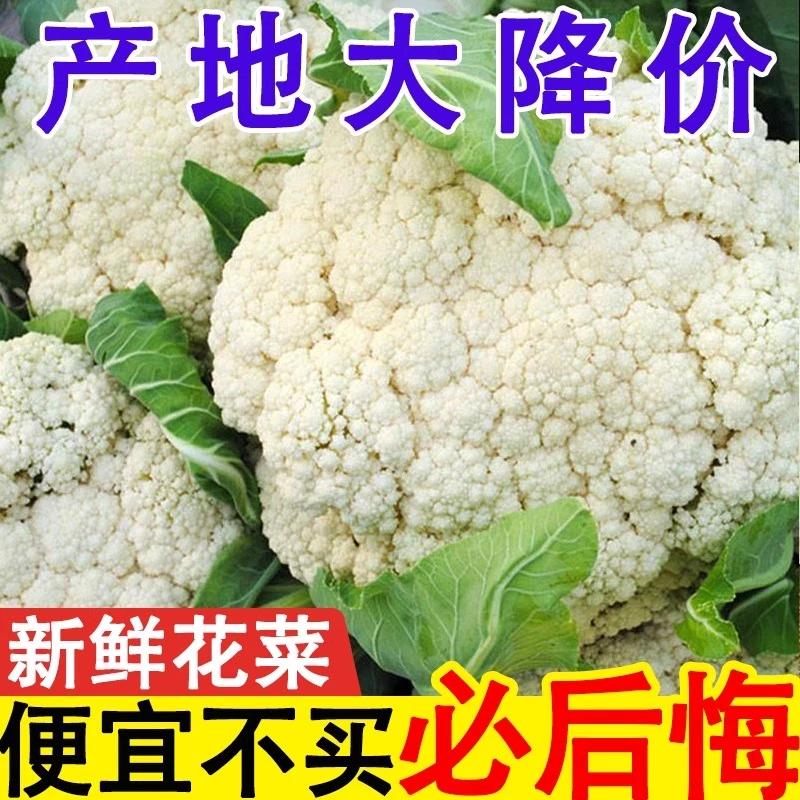 新鲜花菜农家自种当季蔬菜现摘现发花椰菜菜花