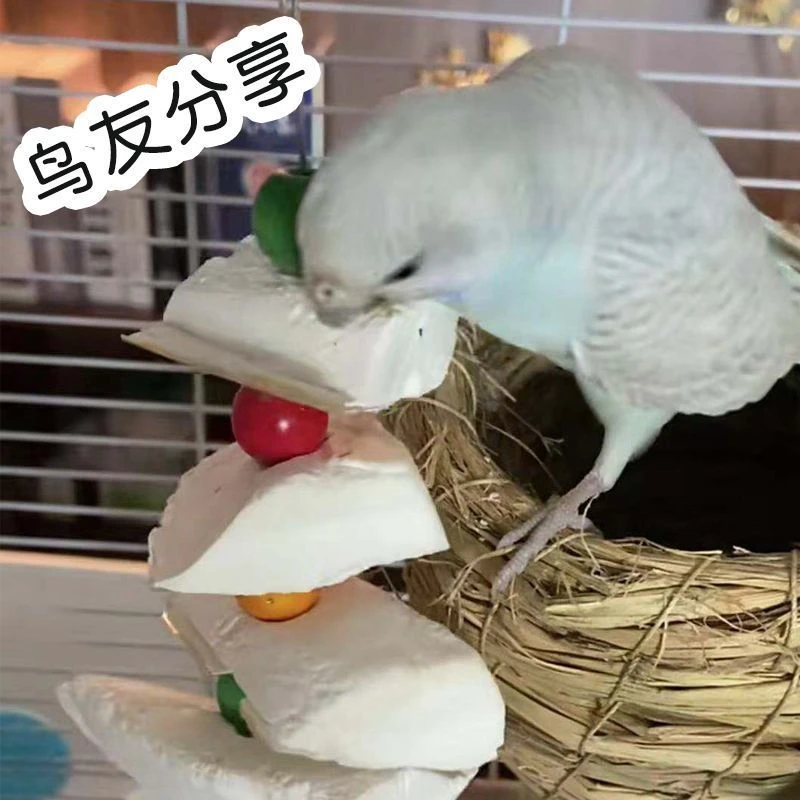 墨鱼骨串啃咬玩具玄凤牡丹虎皮补钙磨牙用品鸟食松鼠吊串鹦鹉用具