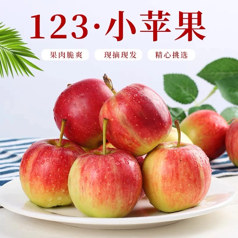 东北123小苹果酸甜脆果现摘现发1/3/5斤海棠果果园产地直发