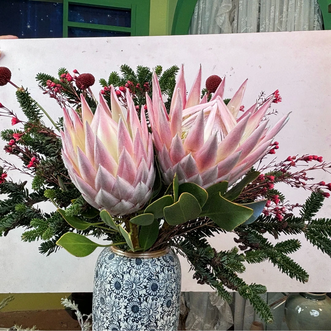 【心想事成】帝王花束南非进口鲜花可搭配  可做干花