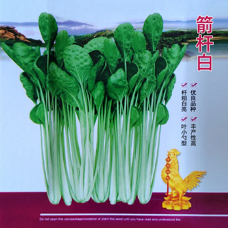 箭杆白奶油高杆白菜种子秋季菜园种植生长抗寒高腿青淹渍酸菜泡菜