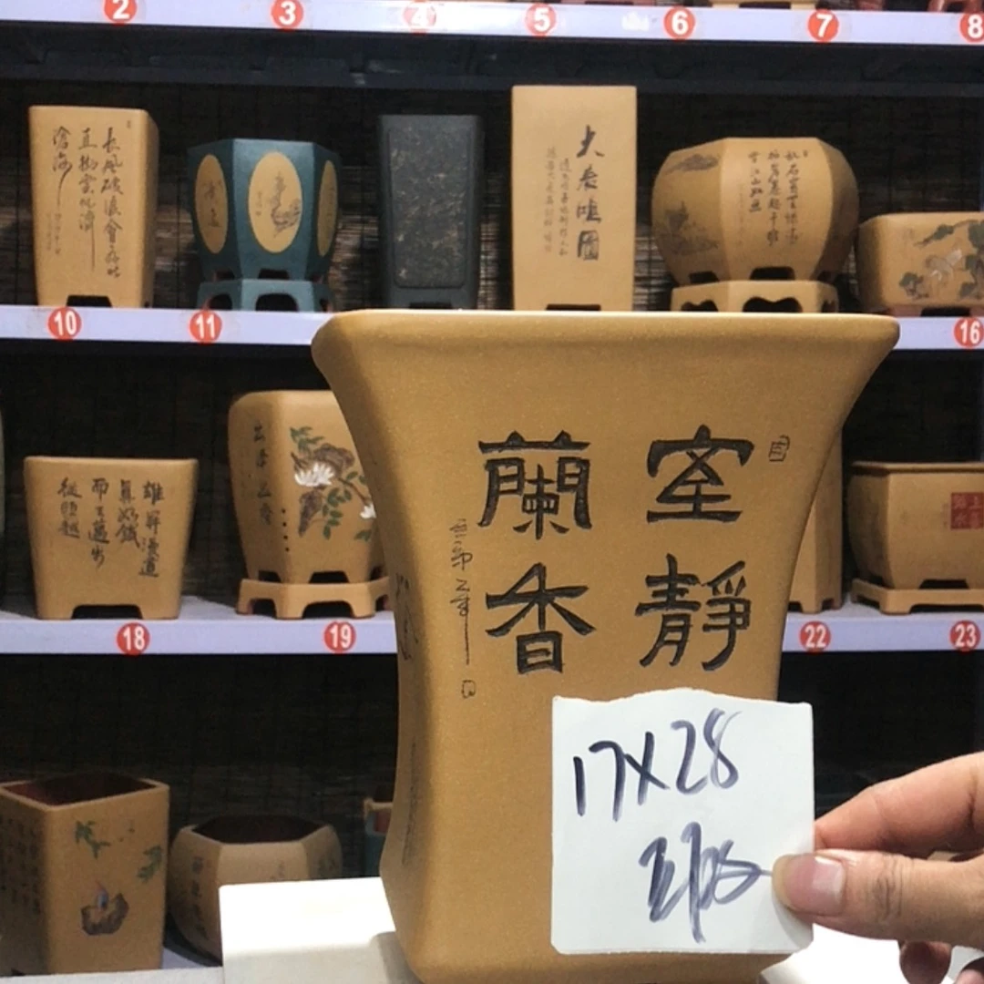 【闪购商品】紫砂花盆柳*