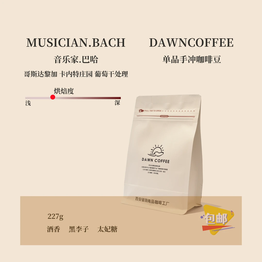 【音乐家·巴哈】单品手冲咖啡豆 哥斯达黎加 卡内特 蜜处理 半磅