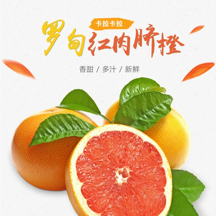 橙中贵族——卡拉卡拉红肉脐橙，自然成熟