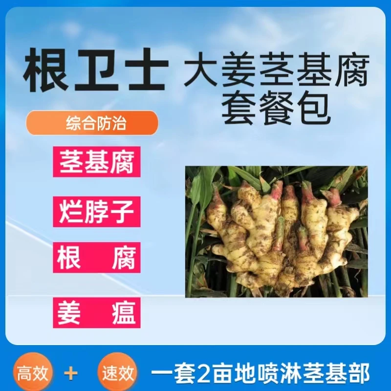 根卫士大姜茎基腐套餐包