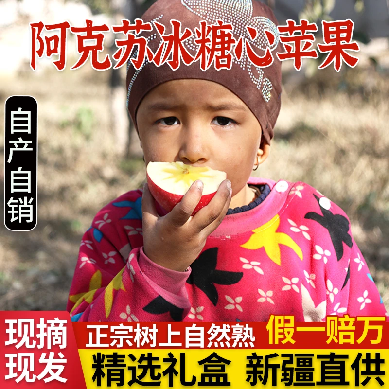 【中通】阿克苏冰糖心苹果5-9斤新疆原产地直发