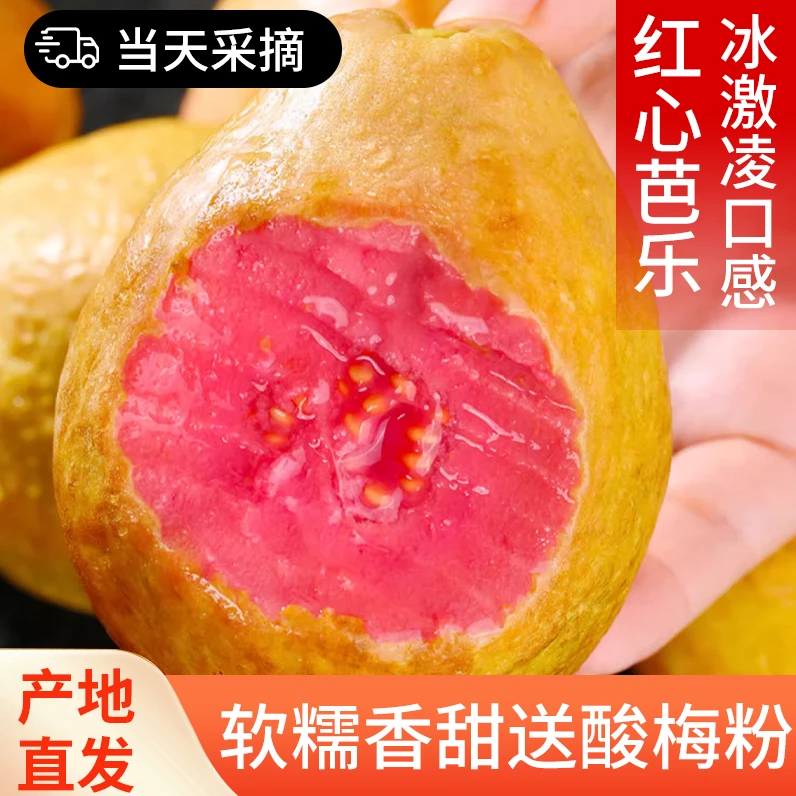 广西黄金奶油软芭乐新鲜水果软心酸甜芭乐软心白番石榴软糯鸡屎果