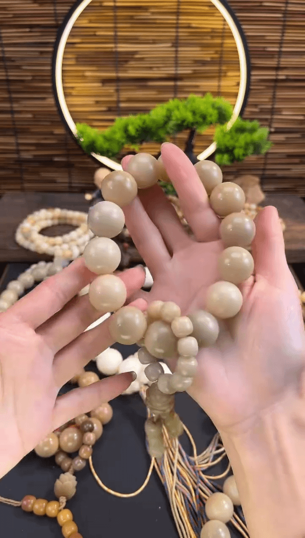 【闪购商品】菩提根/象牙果手串风化14颗