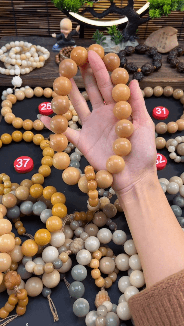 【闪购商品】菩提根/象牙果手串风化18籽