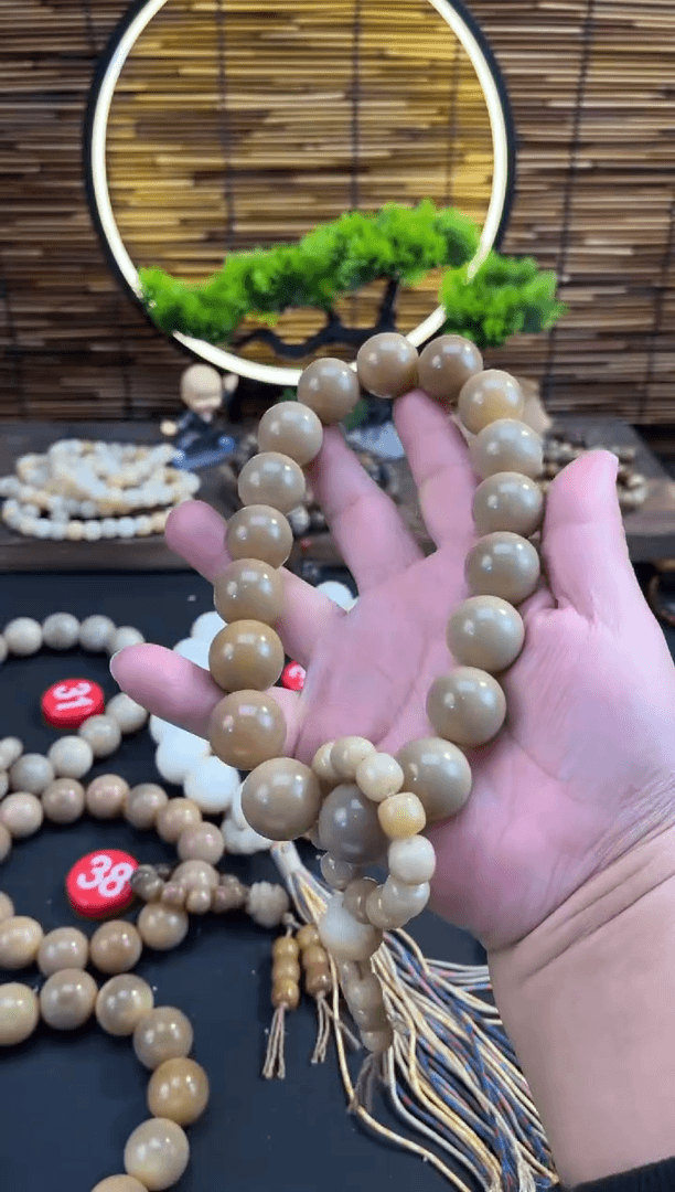 【闪购商品】菩提根/象牙果手串风化18籽