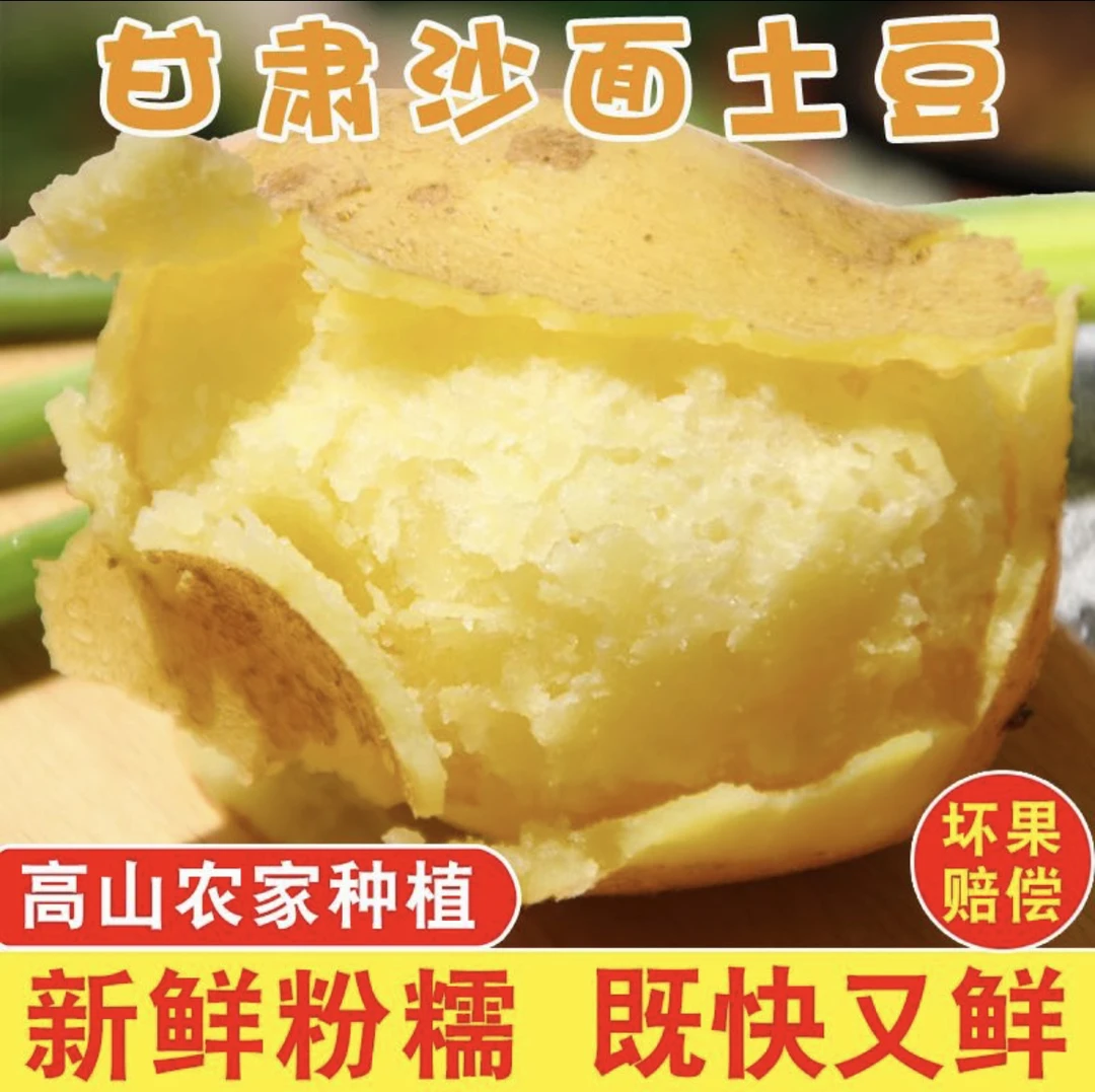 包邮甘肃定西旱沙地粉面沙土豆现挖黄心马铃薯新鲜洋芋净重5斤