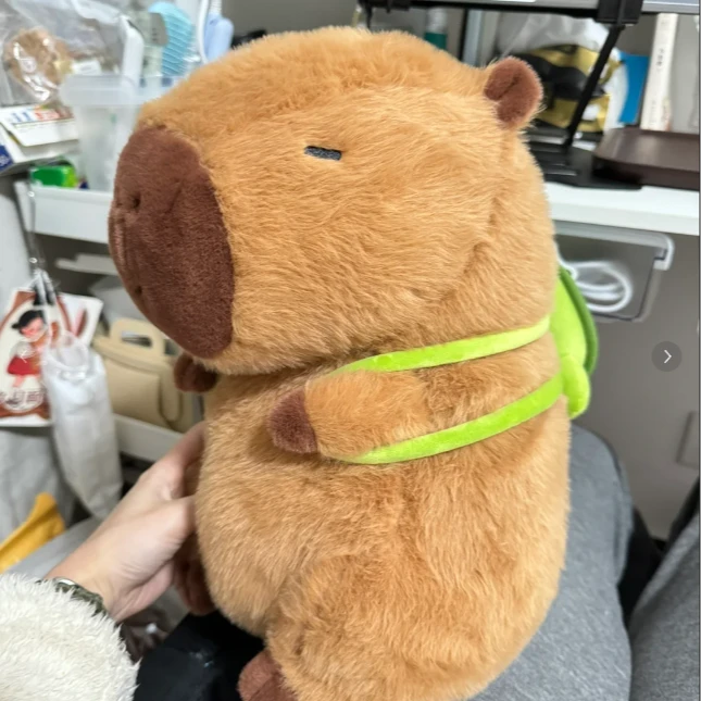超萌卡皮巴拉毛绒玩具一个40cm 破损补发