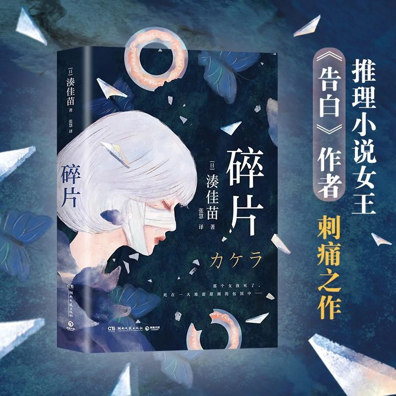 碎片 湊佳苗 告白后全新力作悬疑推理 整形美容外貌日本小说东野