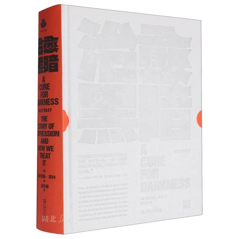 新华正版 治愈黑暗(精) 上海文艺出版社 (英)亚历克斯·莱利著