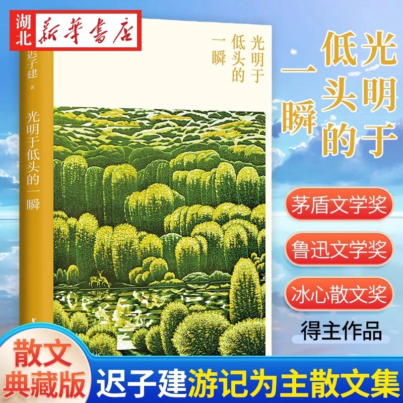 光明于低头的一瞬 迟子建散文系列 新版中国现当代随笔传记