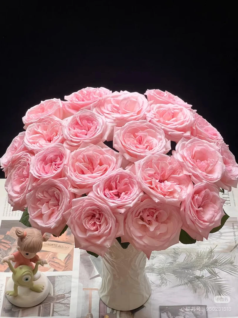 【朱丽叶塔】单头玫瑰 云南鲜花