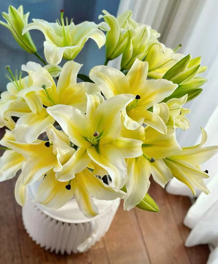 【阿卷哥专属】双头黄天霸百合百合 云南鲜花，顺丰包邮