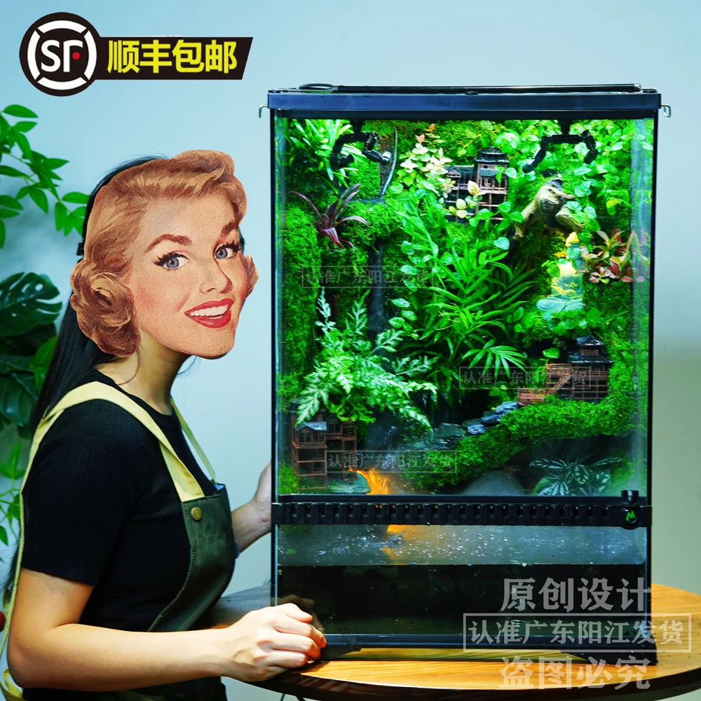 45*45*65[唤醒空间]微景观大型雨林缸成品发货造景微景观生态缸