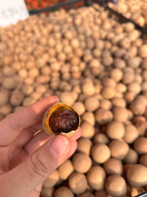 特级桂圆干 肉厚软糯