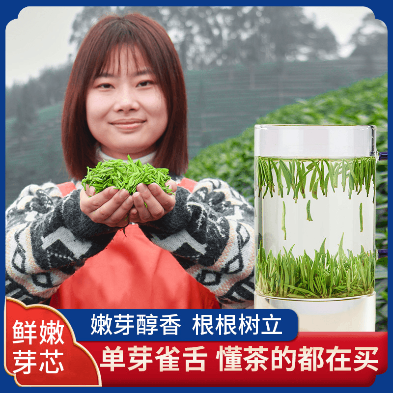 鼎锡和铭 【】嫩芽头雀舌新Z3款，山货无叶片嫩芽树立青鲜回甘125g