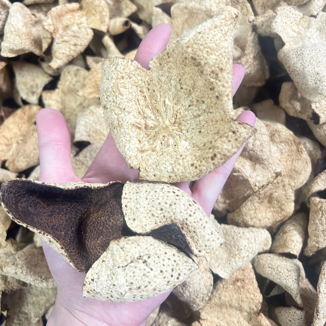 2020年 新会梅江圈枝二红皮 回甘生津 润滑