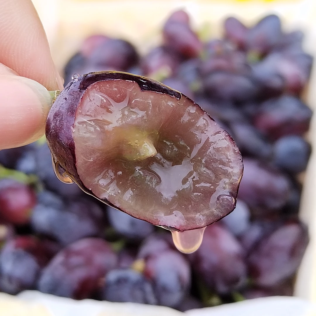 【谢大叔】紫甜葡萄 纯甜 皮薄肉厚 汁水多  时令水果  只发川渝贵