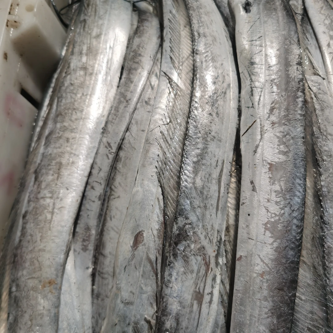 渤海湾大连刀鱼，4斤16-20条破肚插皮不理赔