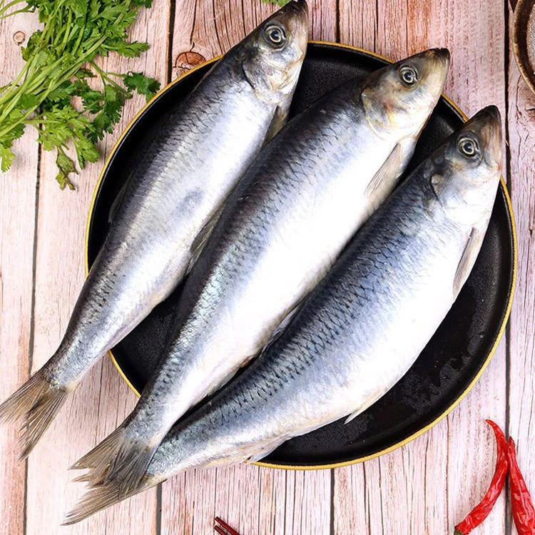 青鱼冷冻发货红眼睛