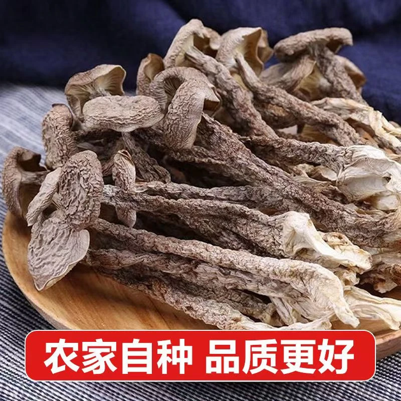 【高山鹿茸菇】无硫干货肥厚炒菜煲汤炖鲜美炒肉中秋好物独立包装