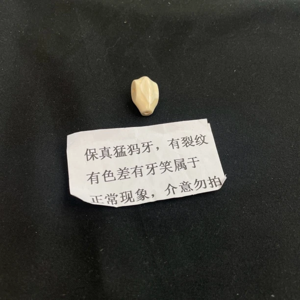 【p02608】11.7*19.2mm猛犸牙奶黄鲨鱼背三通配件配饰