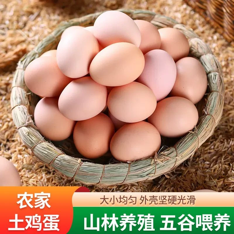 特价正宗农家土鸡蛋散养新鲜土鸡蛋草鸡蛋柴鸡蛋原生态新鲜整箱