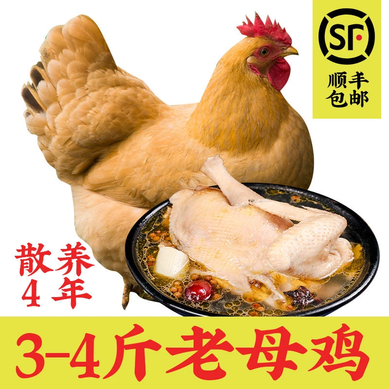 3-4斤2-3年老母鸡散养土鸡柴鸡现杀走地鸡草鸡笨鸡月子鸡整鸡肉