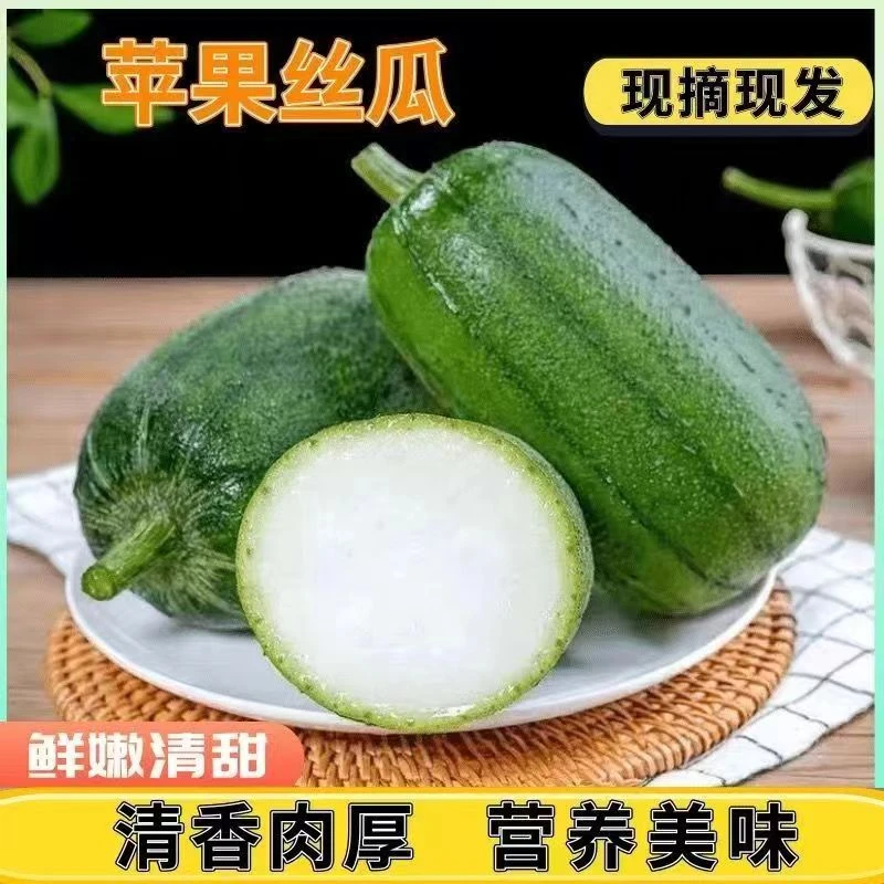 莘硕【现摘现发】苹果丝瓜新鲜肉丝瓜短棒肉丝瓜水瓜农家自种蔬菜