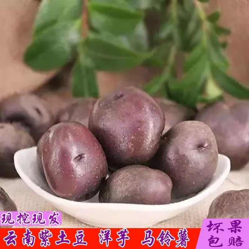 云南新鲜小土豆乌洋芋紫土豆5斤8斤包邮