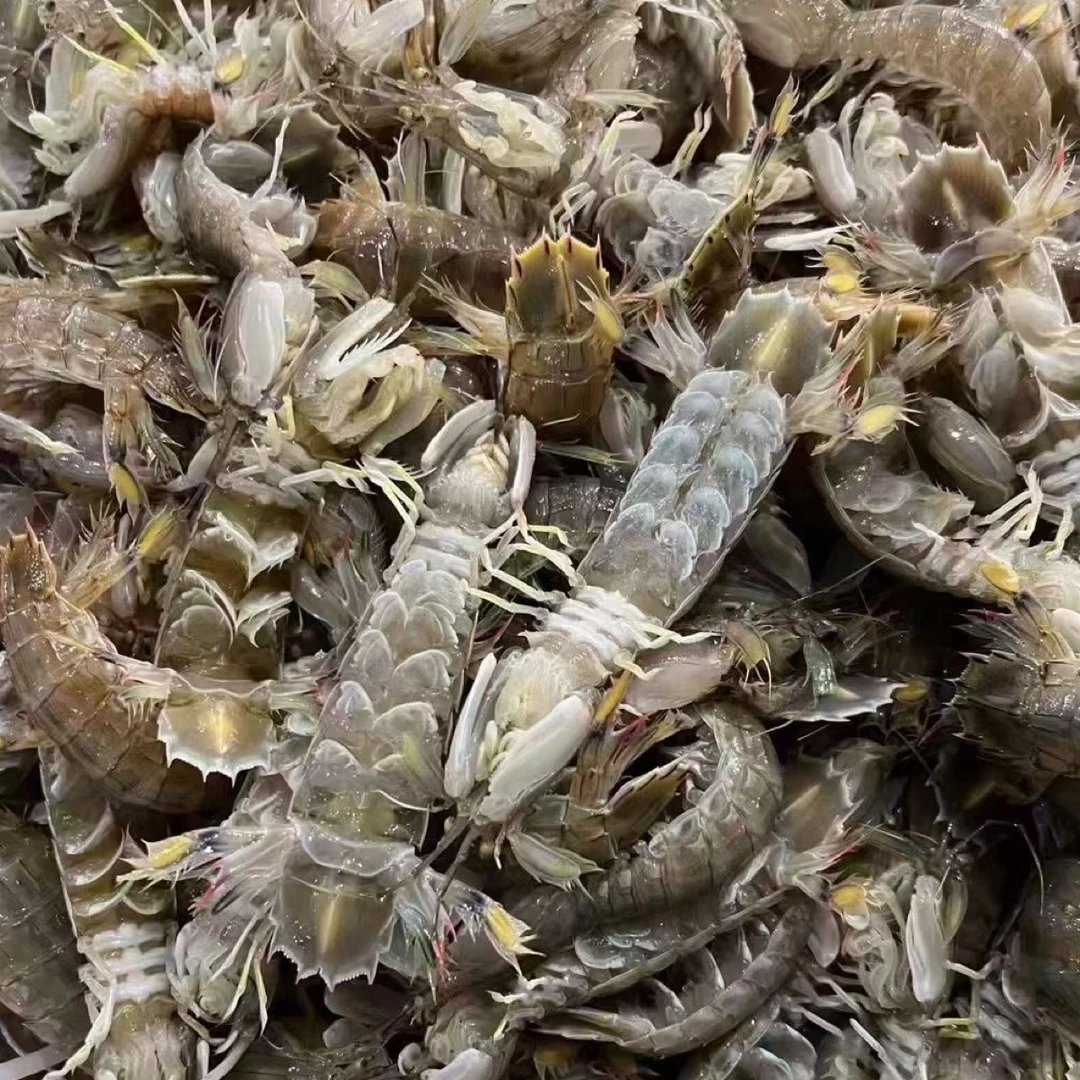 吕四渔港带膏皮皮虾野生包肥尝鲜价