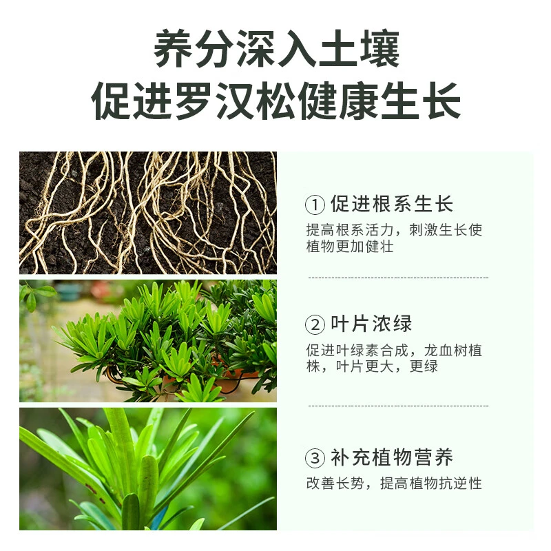 【罗汉松专用肥料】造型松树盆景专用有机肥缓释肥通用颗粒水溶肥料
