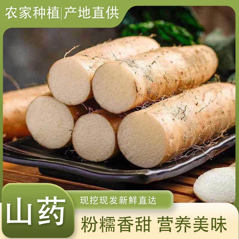 贵州高山农家种植当季蔬菜新鲜山药带箱10斤装现挖