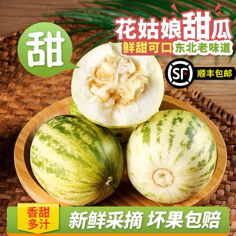 东北香瓜老品种花姑娘香瓜 甜脆可口 现摘现发3斤/5斤顺丰包邮